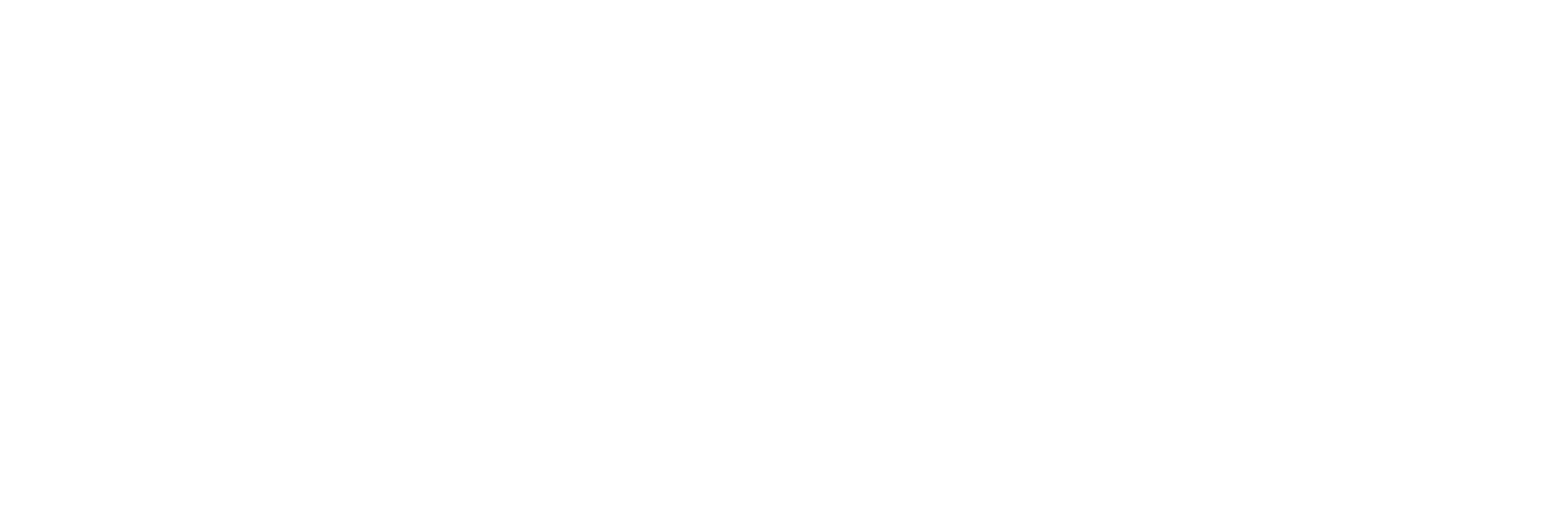 LN AutoShine